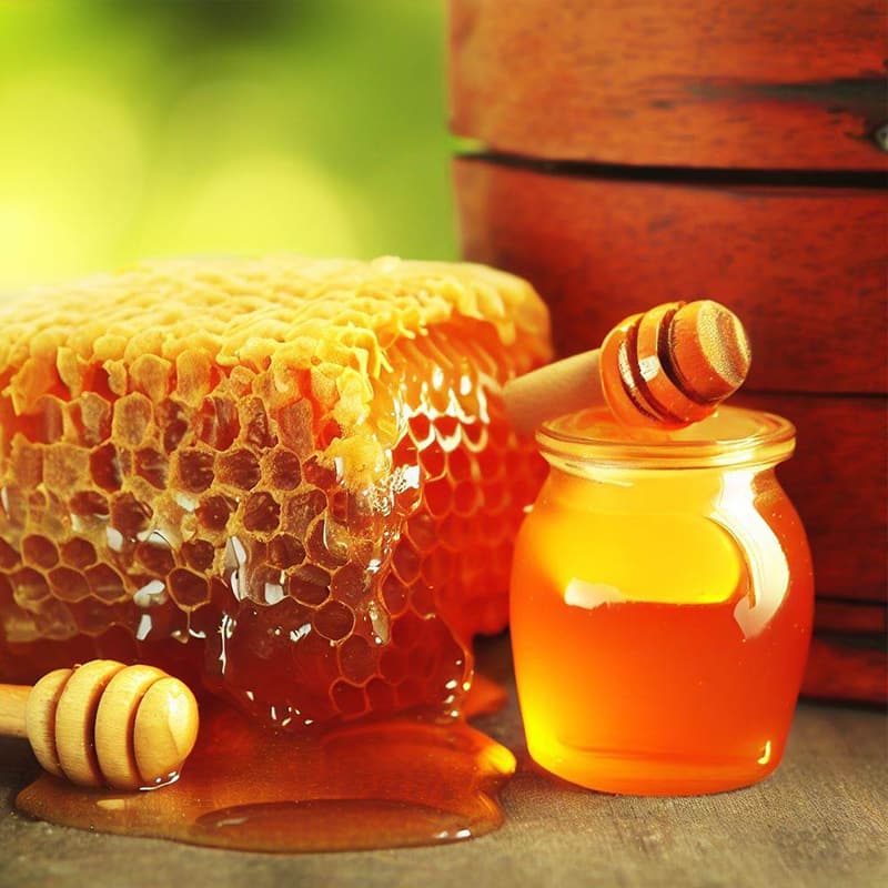 Unveiling the Sweet Secrets: 13 Intriguing Facts About Honey