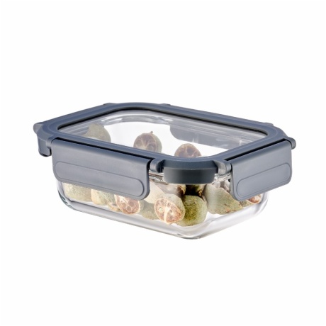 Rectangular borosilicate glass food container with glass lid and locking clips